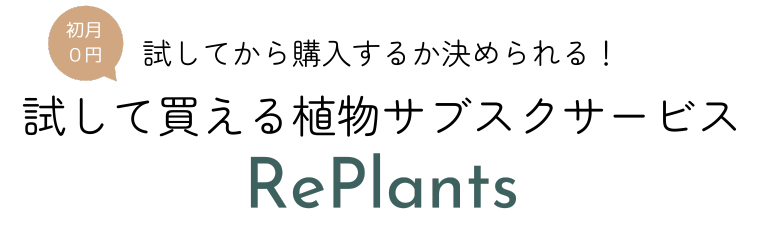 試してから購入するか決められる。試して買える植物サブスクサービス。RePlants